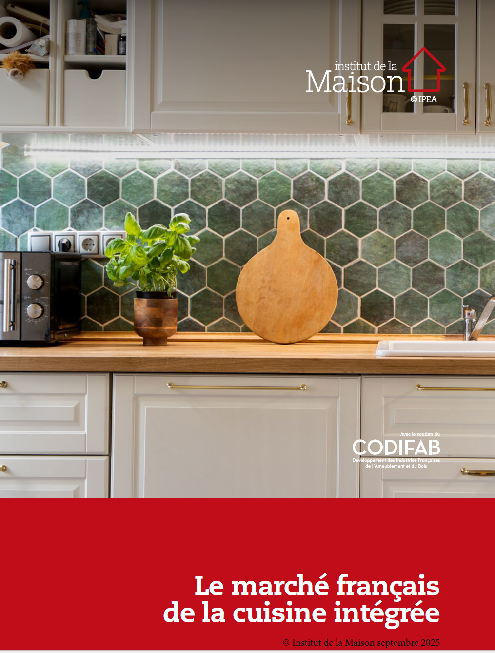 Le marché français de la cuisine intégrée 2025